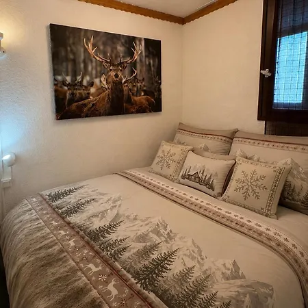 Apartamento Cosy Pour 4 Aux Saisies, Animaux Admis Les Saisies